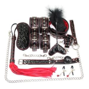 10 in 1 patent leather bdsm kit (Red & Black)