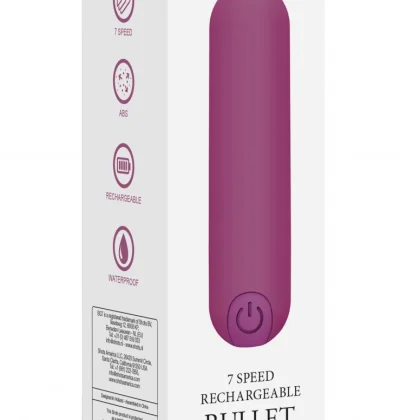 10 Speed Rechargeable Bullet – Purple