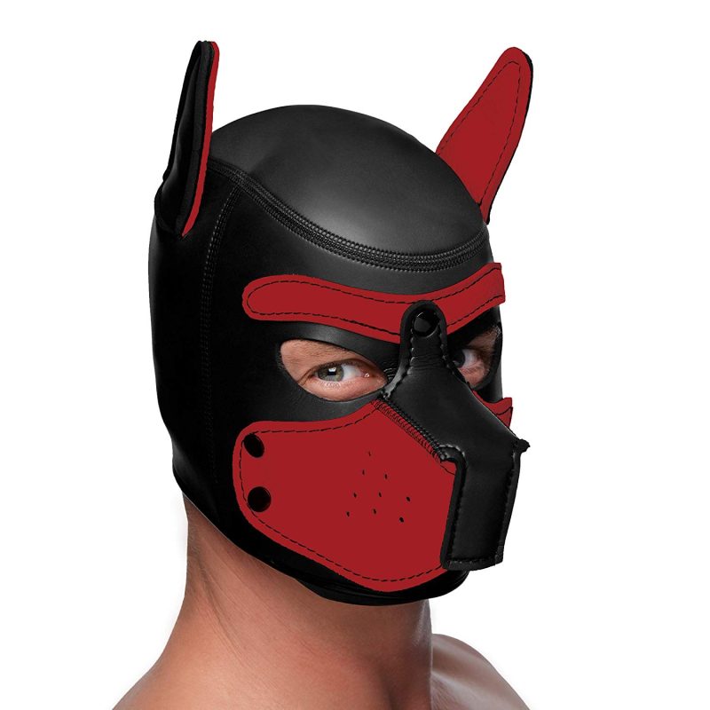 Dog Head Gear