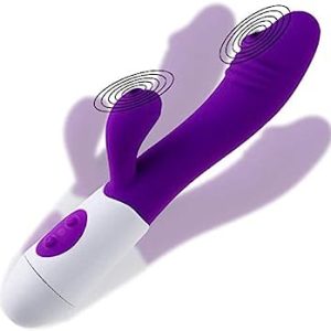 Rechargeable V1 Gspot vibrator – Purple