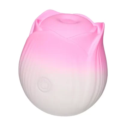 Two Tone Rose Vibrator